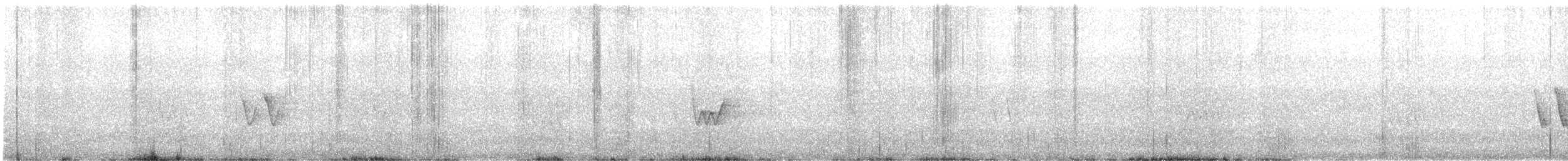 Chivi Vireo - ML645816267