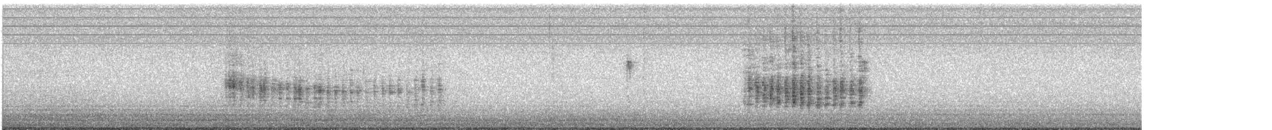 Belted Kingfisher - ML645816449