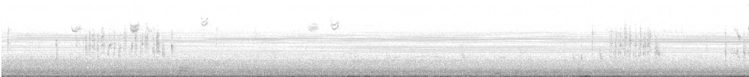 Marsh Wren - ML645816604