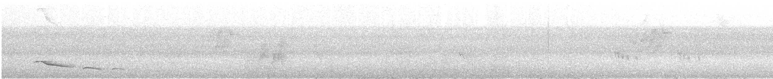 Long-tailed Manakin - ML645816638