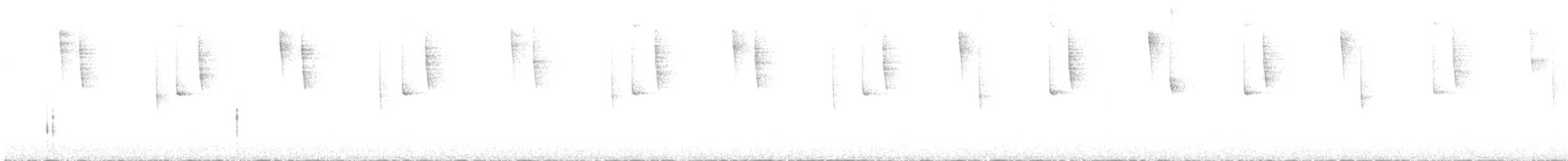 Colibri thalassin - ML645817413