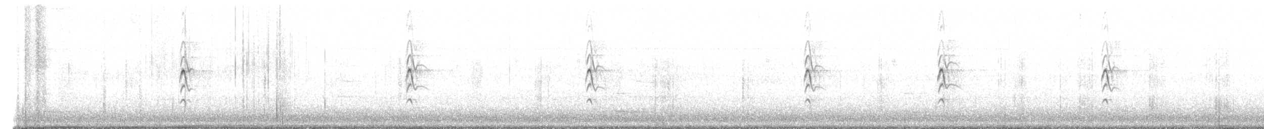 Black-bellied Whistling-Duck - ML645817560