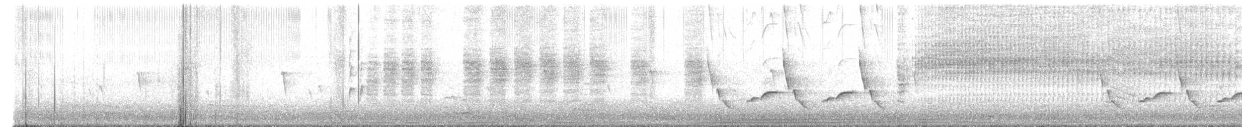 Carolina Wren - ML645817592