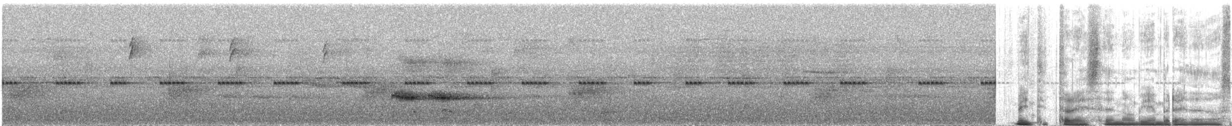 Geai vert - ML645817834