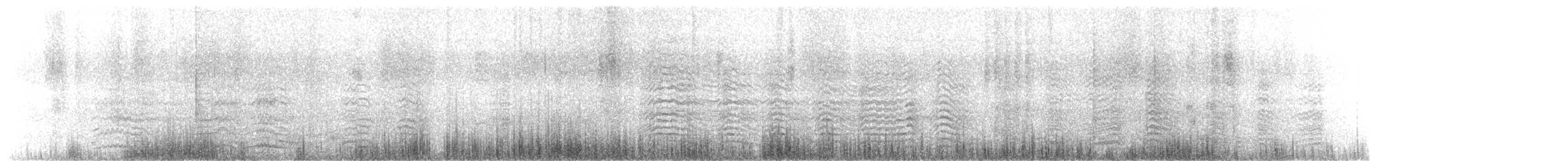 King Penguin - ML645817860