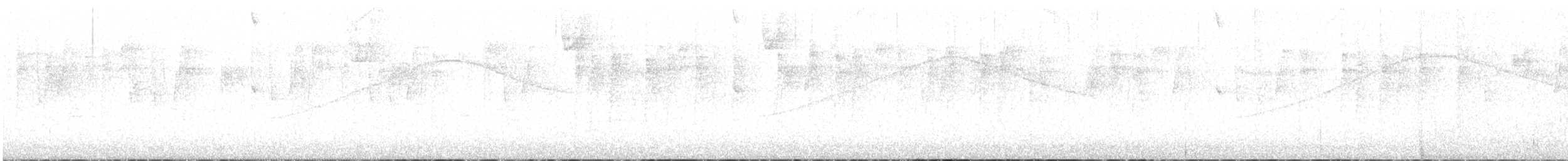 Bumblebee Hummingbird - ML645818365