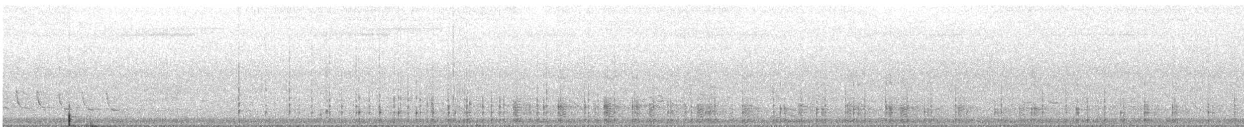 Little Black Cormorant - ML645818580