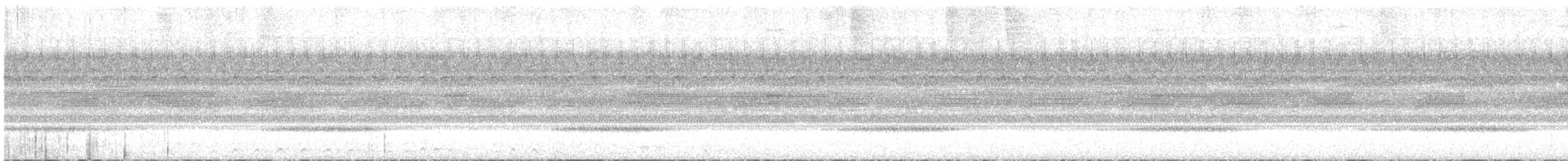 výreček pacifický (ssp. lambi) - ML645819104