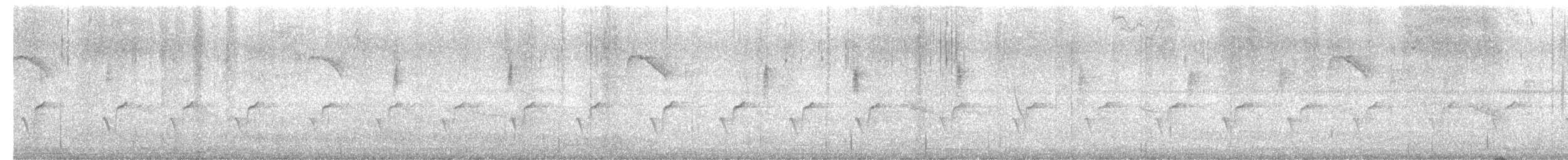 Common Tailorbird - ML645819436