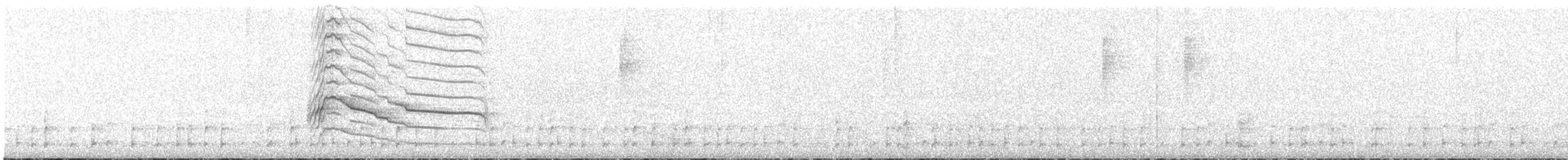 Roadside Hawk (Northern) - ML645819682