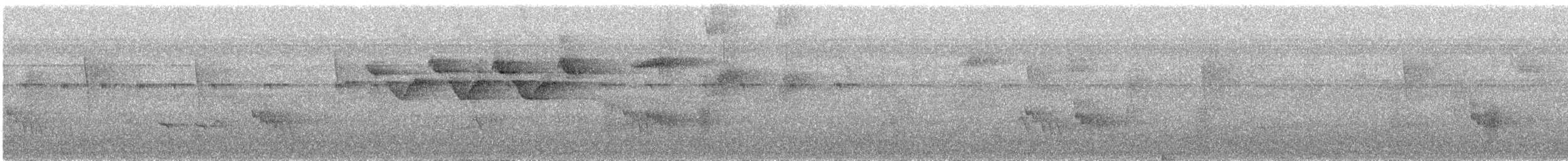 Black-and-white Warbler - ML645820079