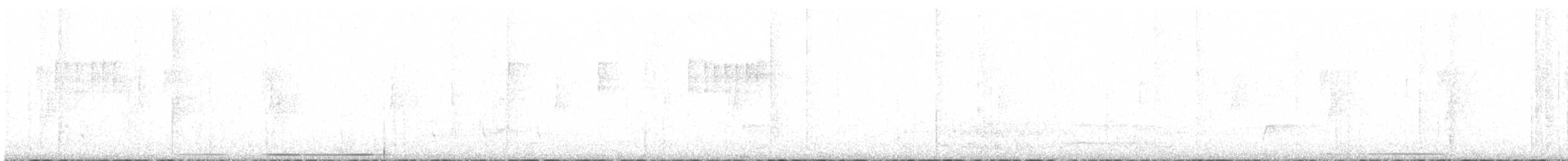 White-tipped Dove (White-tipped) - ML645820374