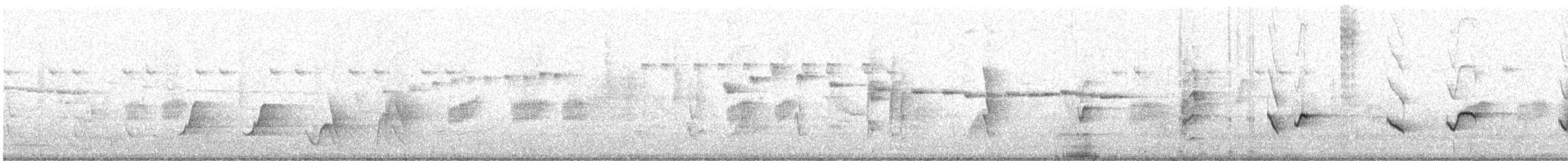 Dusky Gerygone - ML645820586