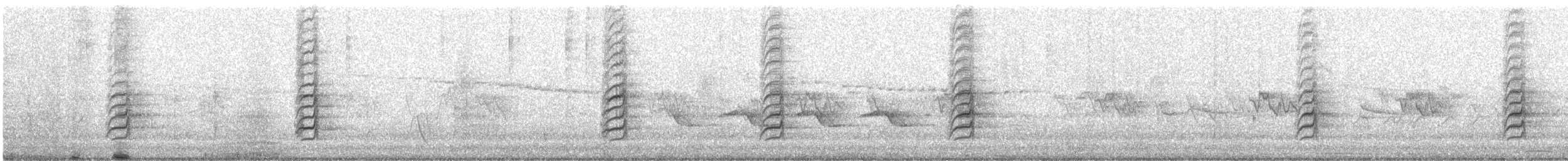 hvitbuksvalestær - ML645820619