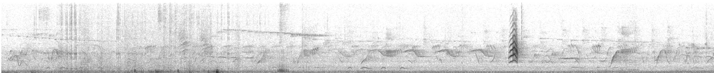 hvitbuksvalestær - ML645820620