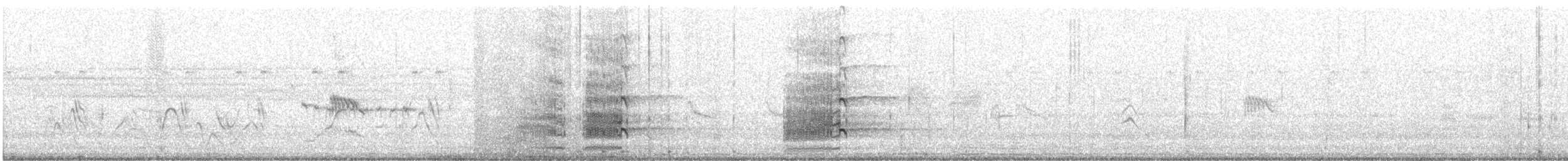 småspove - ML645820681