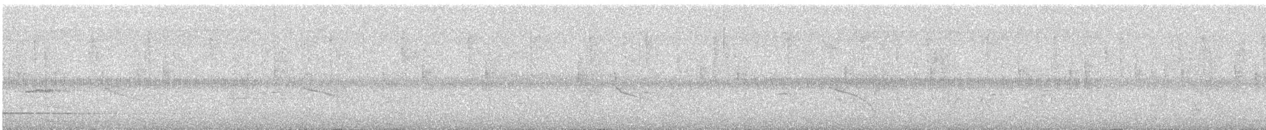 hvitvingedue - ML645821448