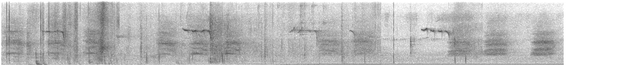 Steller's Jay - ML645822749