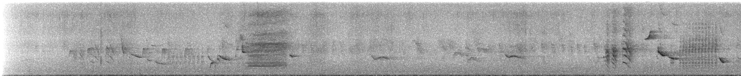 Austral Blackbird - ML645822923