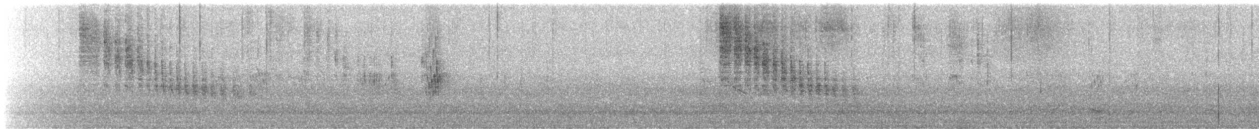 Southern House Wren - ML645823156