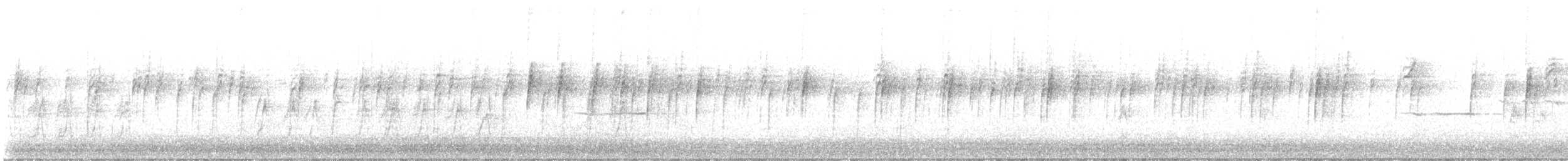 strnadec bělopásý - ML645823305