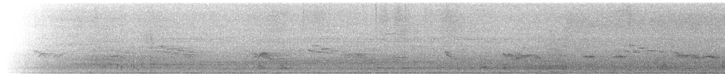 Austral Thrush - ML645823354