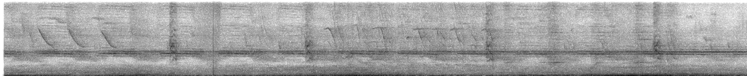 Колумбийский сереброклюв - ML645823636