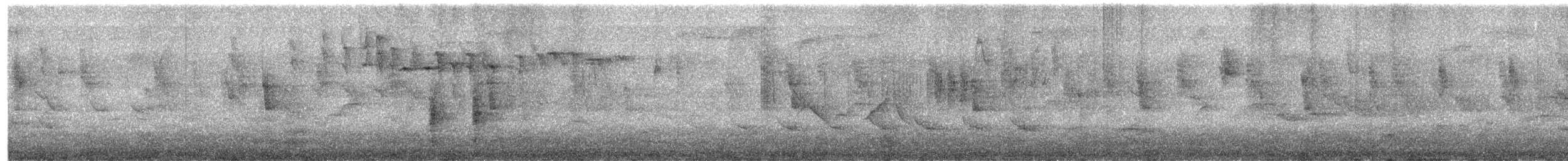 フチオハチドリ - ML645823731