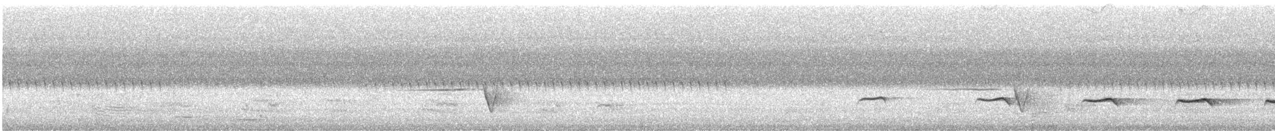 Sahul Brush Cuckoo - ML645823908