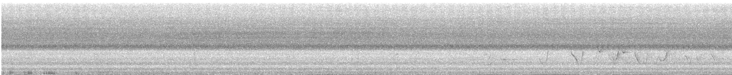 Sahul Brush Cuckoo - ML645823910