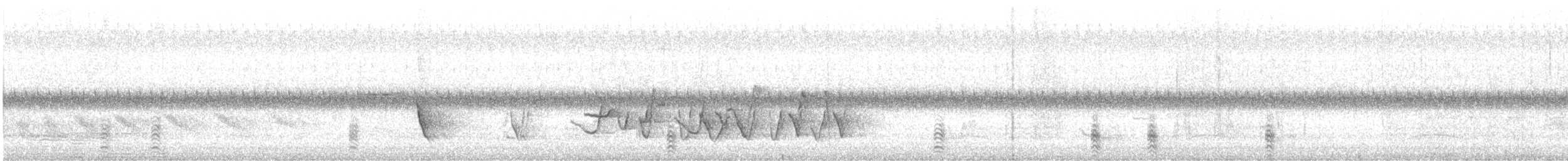 Gray Shrikethrush - ML645823963