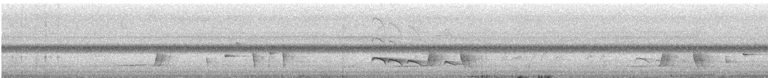 Little Bronze-Cuckoo - ML645823977