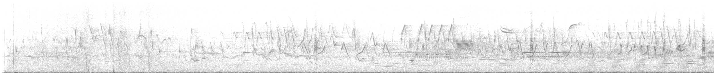 Пастушок віргінський - ML645824014