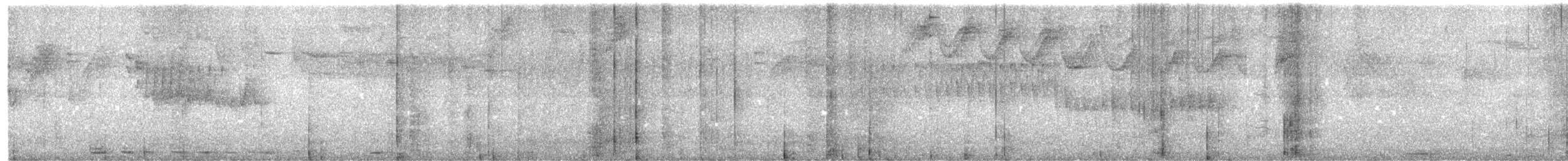 シラヒゲヤブシトド - ML645824035