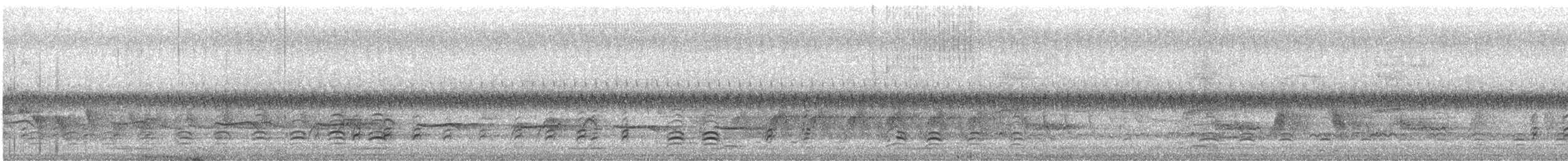 White-bellied Sea-Eagle - ML645824036