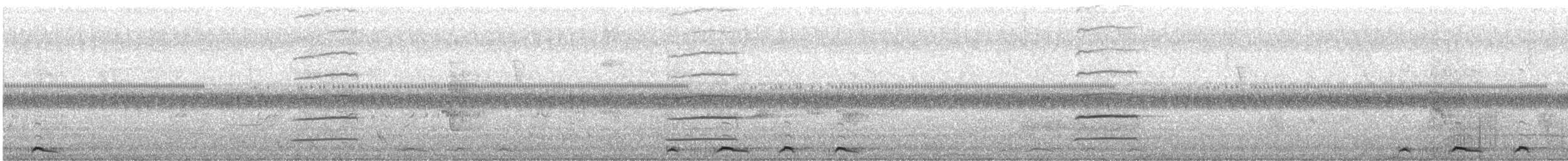 Singing Honeyeater - ML645824043