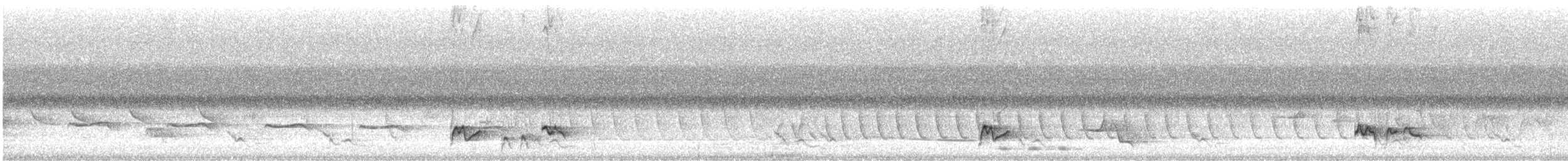 Singing Honeyeater - ML645824044