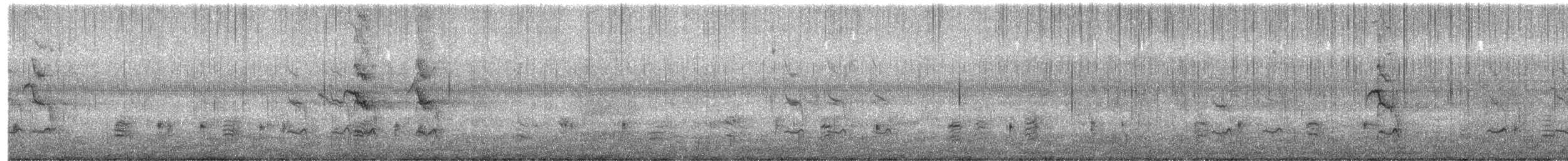 Great Thrush - ML645824100