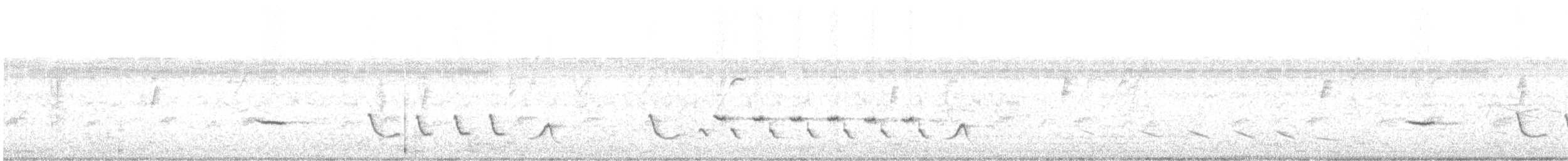 Black-striped Sparrow - ML645824197