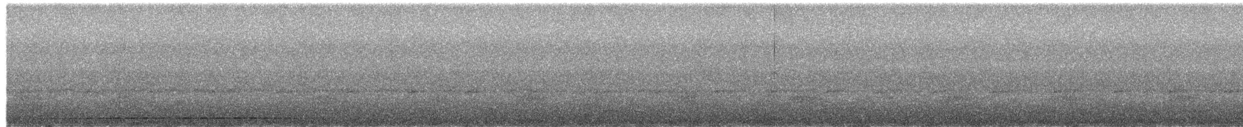 Moustached Antpitta - ML645824236