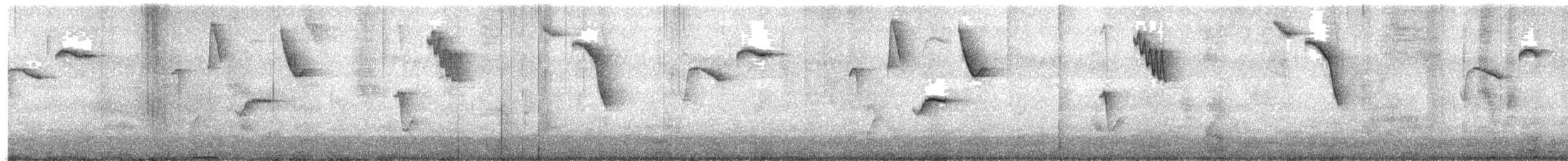 Gray-browed Brushfinch - ML645824274