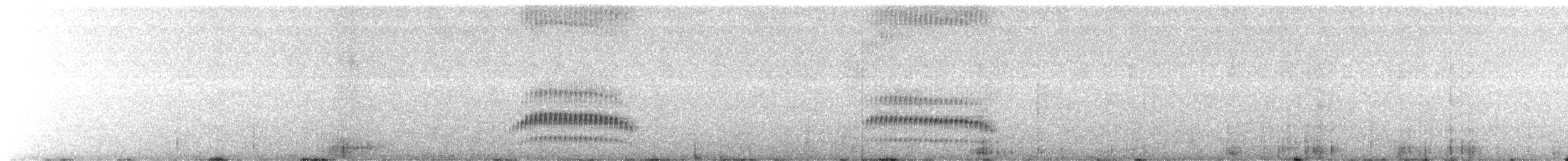 Pale-bellied Tapaculo - ML645824367