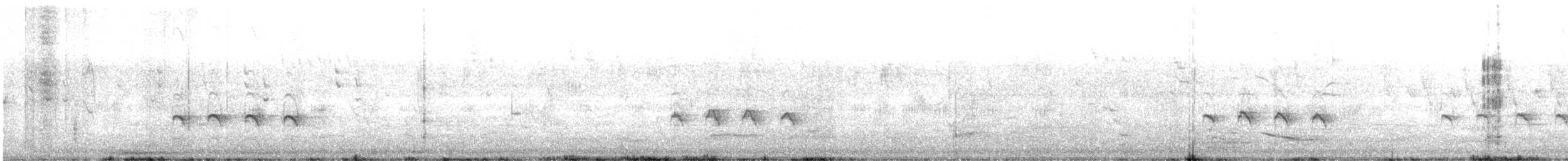 Sacred Kingfisher (Australasian) - ML645824441