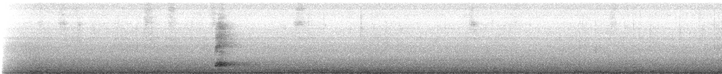 Black-crowned Night Heron - ML645824632