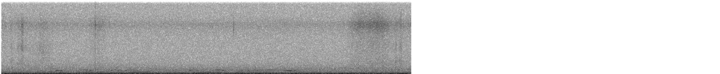 Barred Owl - ML645824640