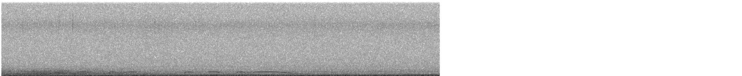 Barred Owl - ML645824641