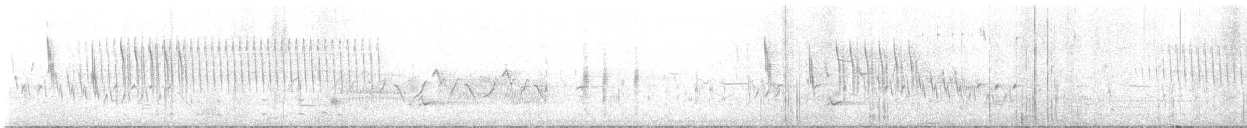 Sedge Wren - ML645824919