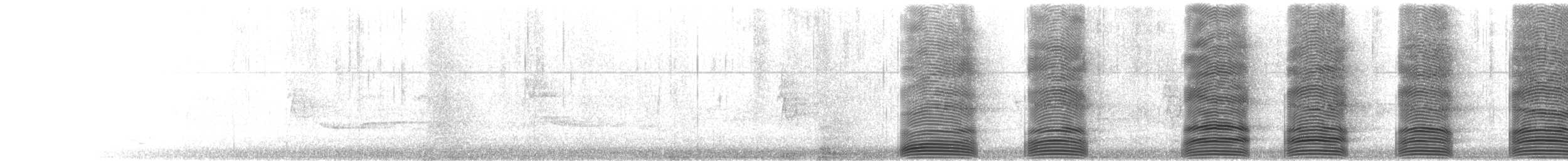 Little Raven - ML645825088