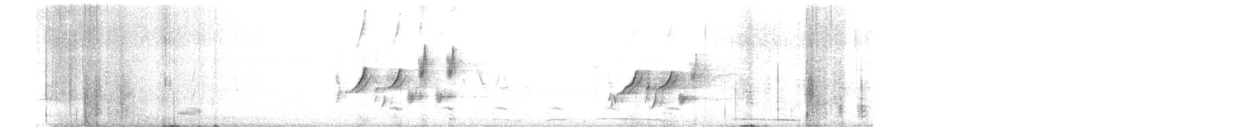 オオハクセキレイ - ML645825463