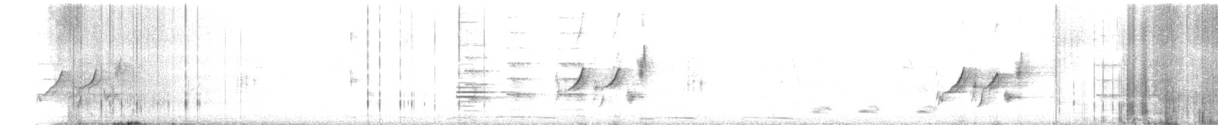 オオハクセキレイ - ML645825464